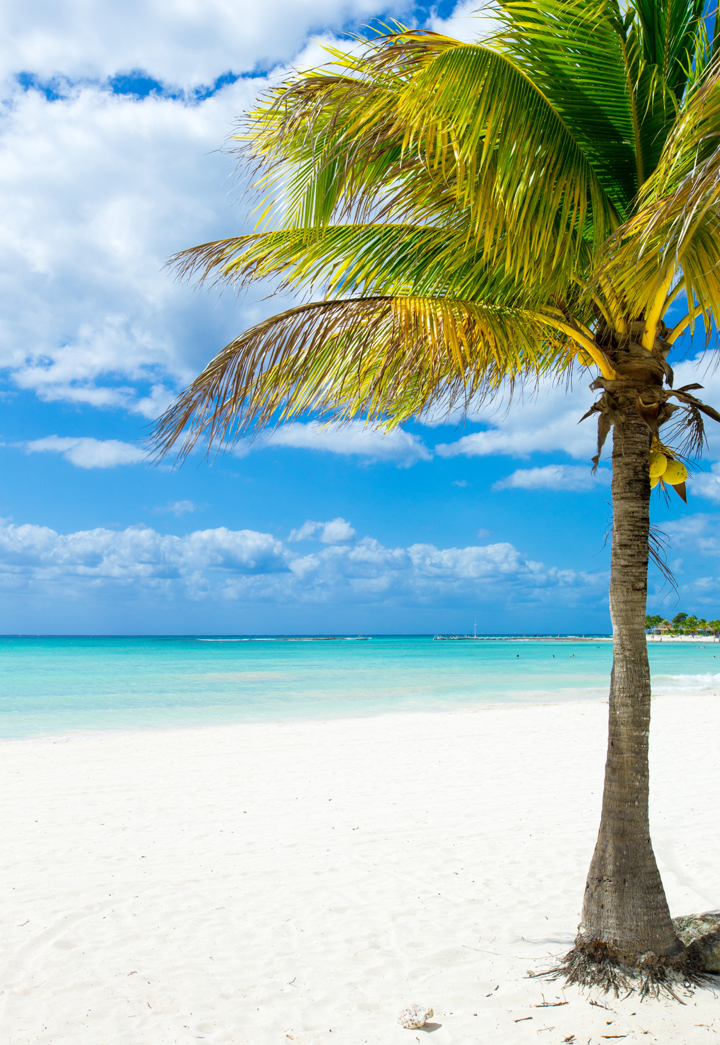 beach